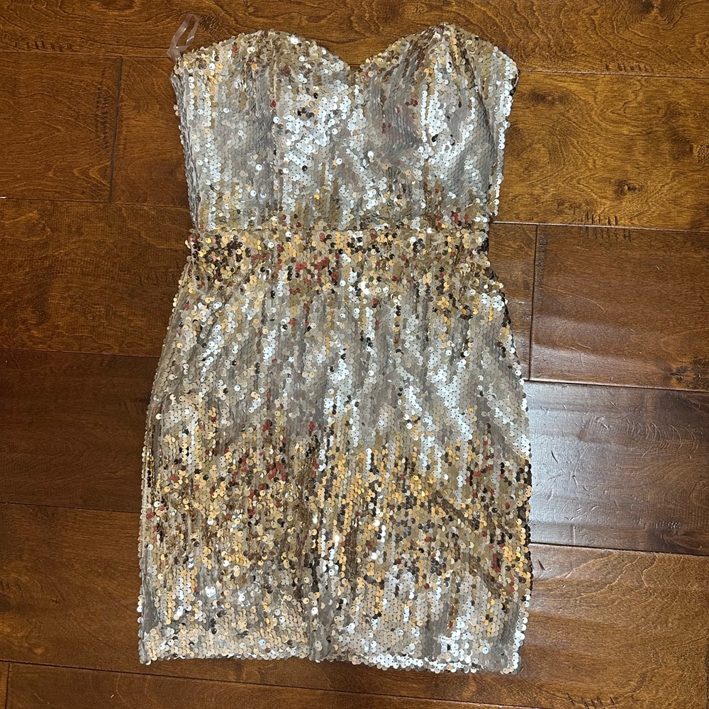 Elegant Silver and Gold Sequin Dress